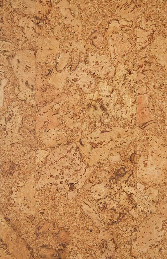 Wise By Amorim 100 Waterproof Cork Flooring In Originals Shell