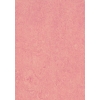 Marmoleum Click CinchLoc 12