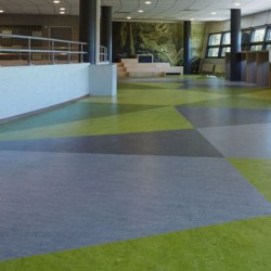 Marmoleum Composition Sheet (MCS)  - Glue Down Flooring