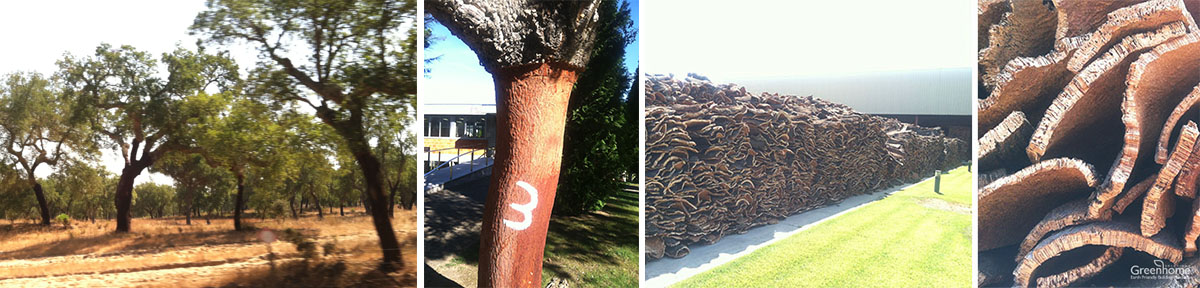 Cork Oak Forest - Montado; Stacks of harvested cork | Greenhome Solutions